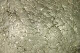 Natural Pyrite Concretion - China #142973-1
